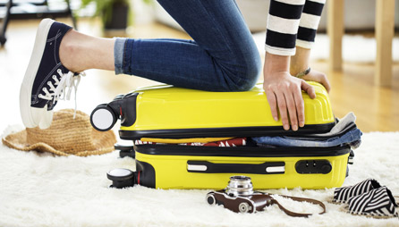 F4-51 ROCO FOURGON A BAGAGES GRANDES LIGNES DE LA DB | F4-51